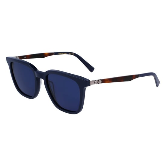 Blue Acetate Sunglasses - Image 1