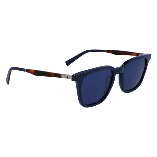 Blue Acetate Sunglasses - Image 2