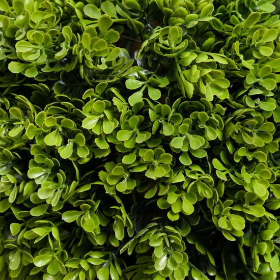 4goodz Kunstmatige buxus kunstplant realistisch uiterlijk ook buiten te gebruiken - Image 3