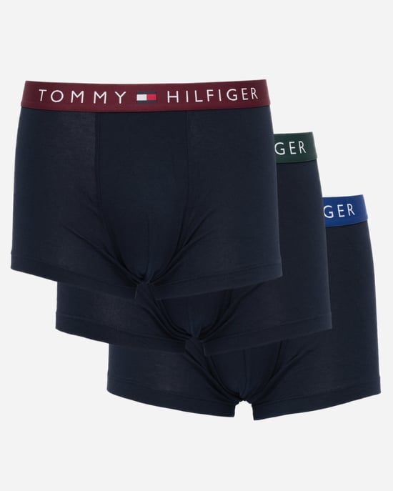 Trunks in Dark Blue - Image 1