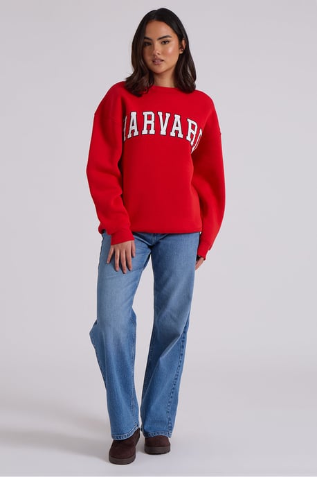 Harvard Oversized Sweatshirt - Image 2