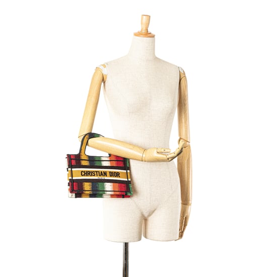 Dior Book Tote Multicolor Striped - Image 1