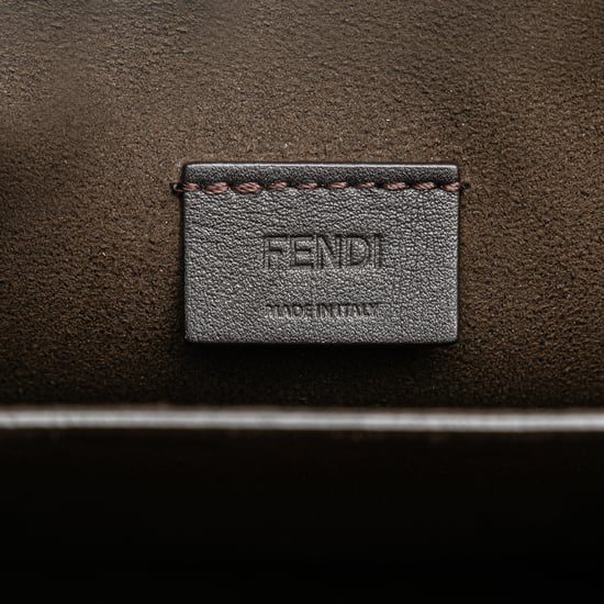 Fendigraphy Mini Läder Crossbody - Image 5