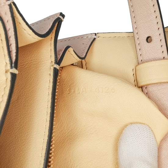 Mini Luggage Crossbody Calfskin - Image 5