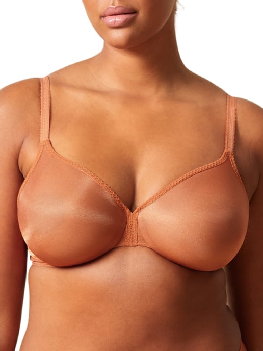 Glossies Sheer Plunge Bra - Image 1