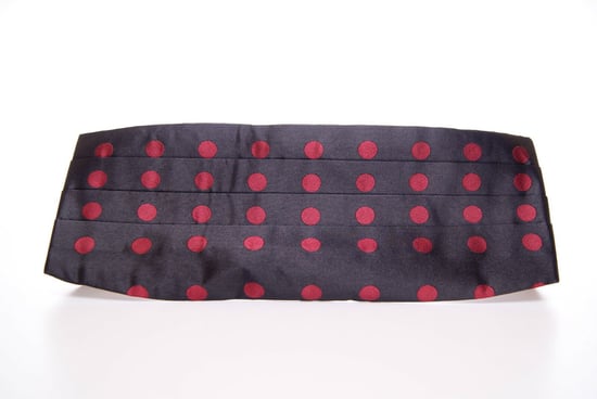Prickig Cummerbund Justerbart Band - Image 2