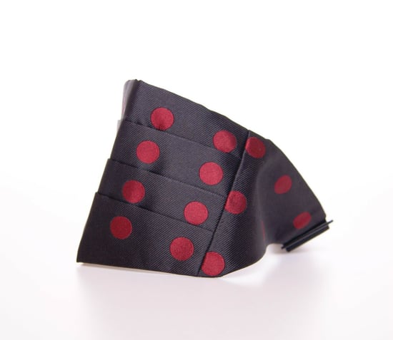 Prickig Cummerbund Justerbart Band - Image 3