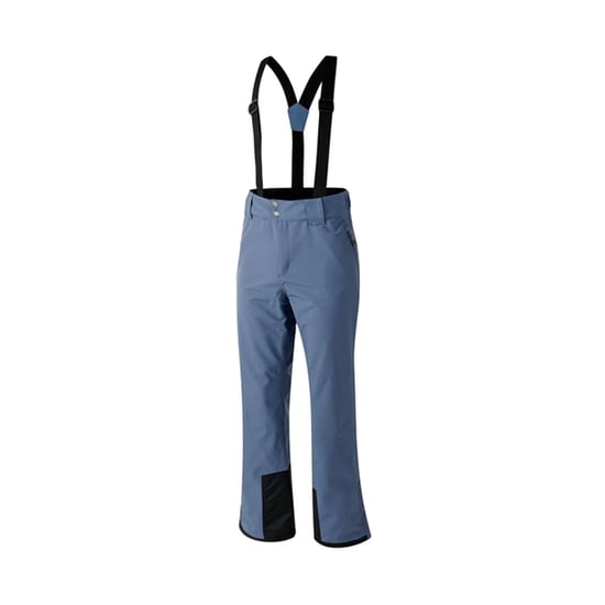 Dare 2B Mens Achieve II Ski Trousers (Blue Indigo) - Image 3
