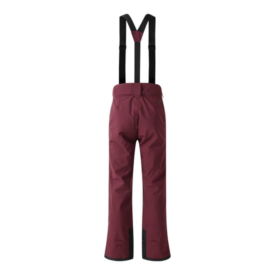 Dare 2B Mens Achieve II Ski Trousers (Fig) - Image 2