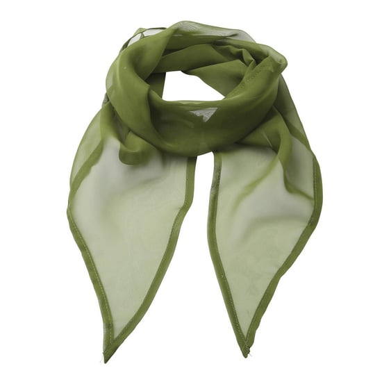 Premier Womens/Ladies Chiffon Scarf (Oasis Green) - Image 1