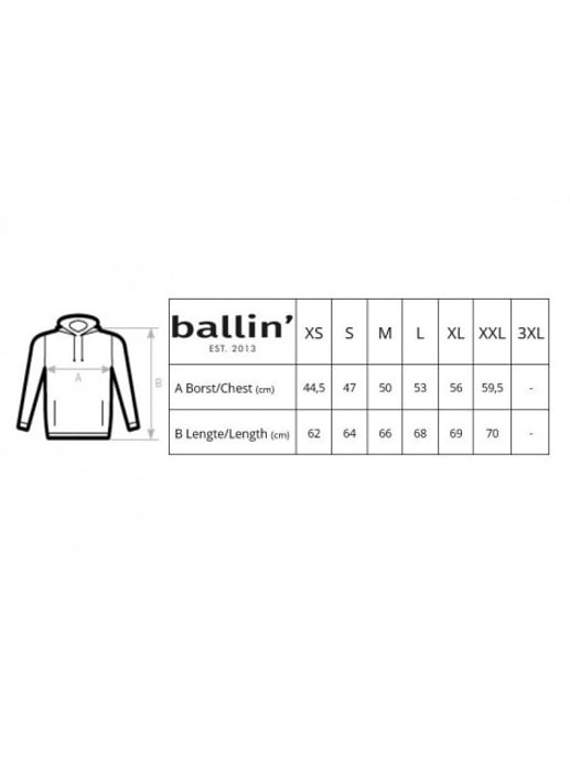 Ballin Est. 2013 Panter block hoodie - Image 3