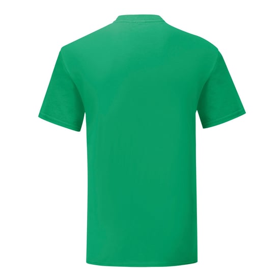 Fruit of the Loom Unisex Iconic T-Shirt för vuxna (Kelly Green) - Image 2