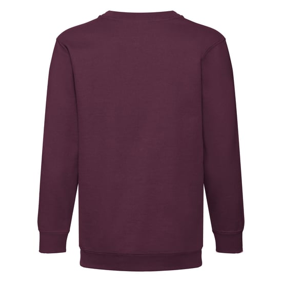 Fruit of the Loom Kinder/kids premium sweatshirt met inzetstuk - Image 2