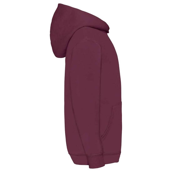 Fruit of the Loom Barn/Kids Classic Hoodie (Bourgogne) - Image 3
