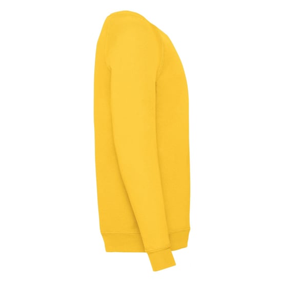 Fruit of the Loom Klassiek raglan sweatshirt voor kinderen/kinderen - Image 3