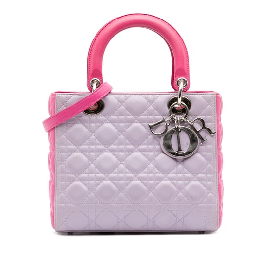 Lady Dior Tote Detachable Strap - Image 1