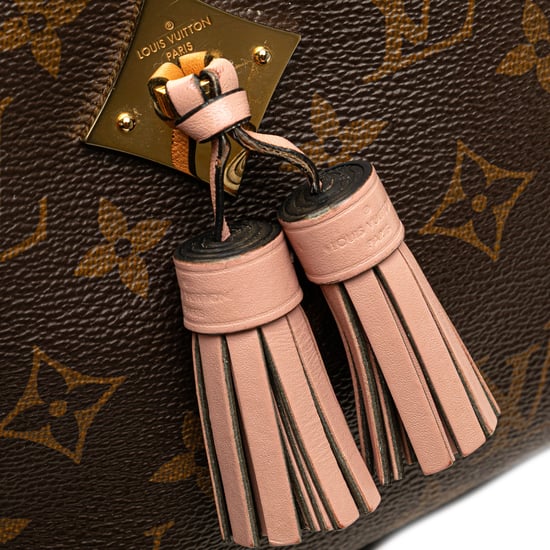 Camera Box Monogram Crossbody Bag - Image 6