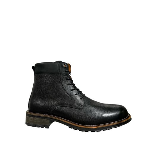 Van Lier 2455911 690 - Image 1