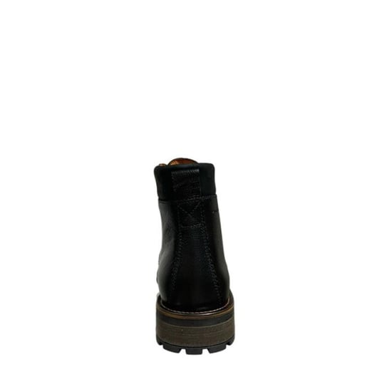 Van Lier 2455911 690 - Image 2