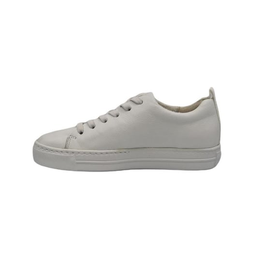 Paul Green 5267 - Image 2