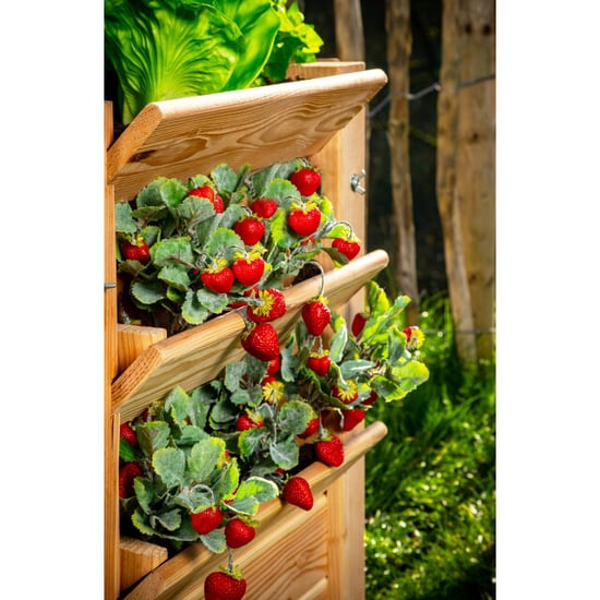 Westmann Verhoogde plantenbak premium xl 65x90x73 cm - Image 4