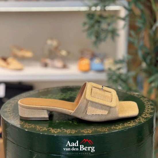 AVDB Damesschoenen slippers - Image 5