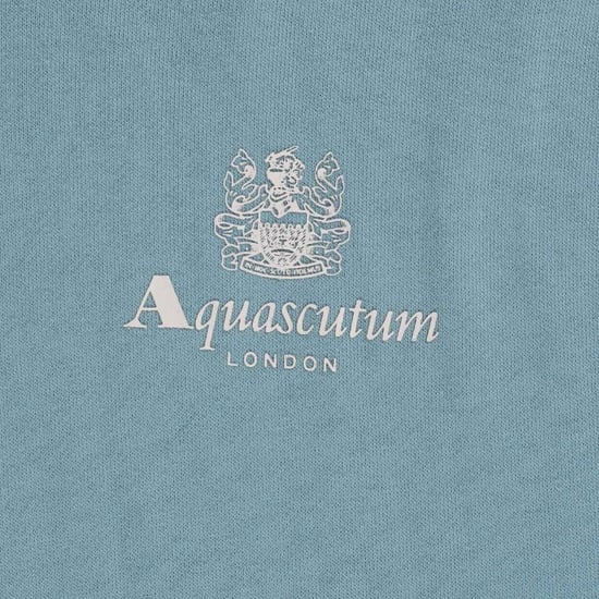 Aquascutum Heren Active Kleine Logo Hoodie (Lichtblauw) - Image 3