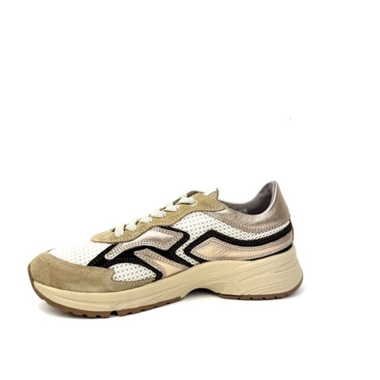 DL Sport 6738 - Image 2