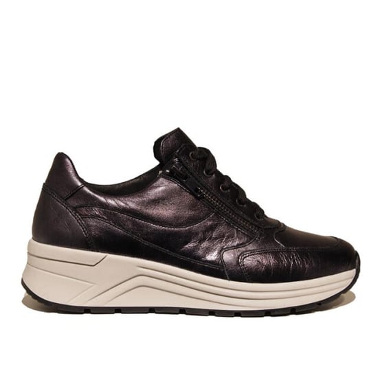Solidus 46023 holly - Image 1