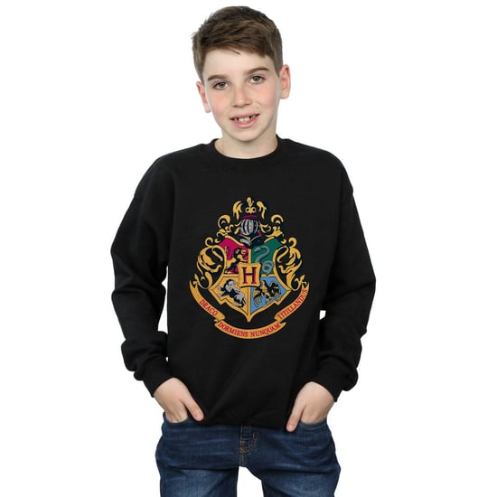 Harry Potter Jongens Sweatshirt met Gouden Inkt en Zweinsteinrest (Zwart) - Image 3