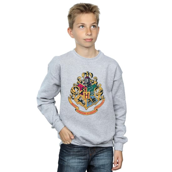 Harry Potter Boys Hogwarts Crest Gold Ink Sweatshirt (Sports Grey) - Image 3