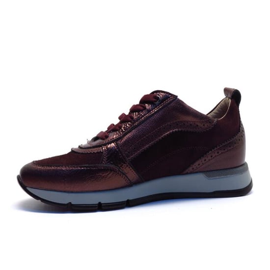 DL Sport 6719 - Image 2