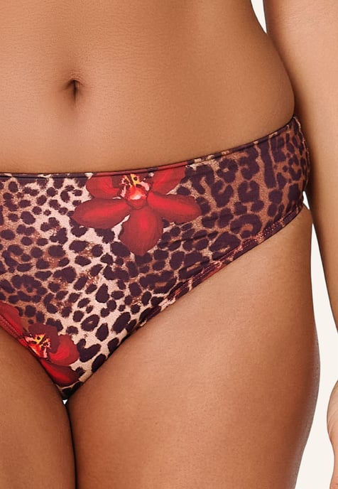 Lingadore Bikini brief - Image 5