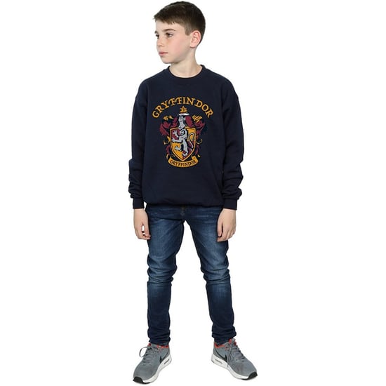 Harry Potter Jongens Gryffindor Katoenen Sweatshirt (Marineblauw) - Image 5