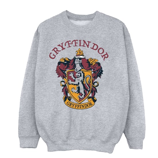 Harry Potter Jongens Gryffindor Katoenen Sweatshirt (Sportgrijs) - Image 1