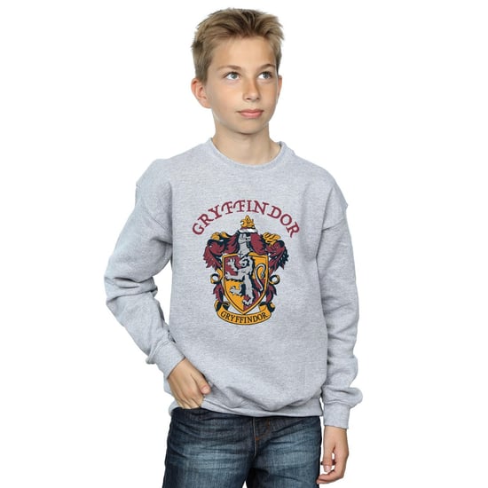 Harry Potter Jongens Gryffindor Katoenen Sweatshirt (Sportgrijs) - Image 3