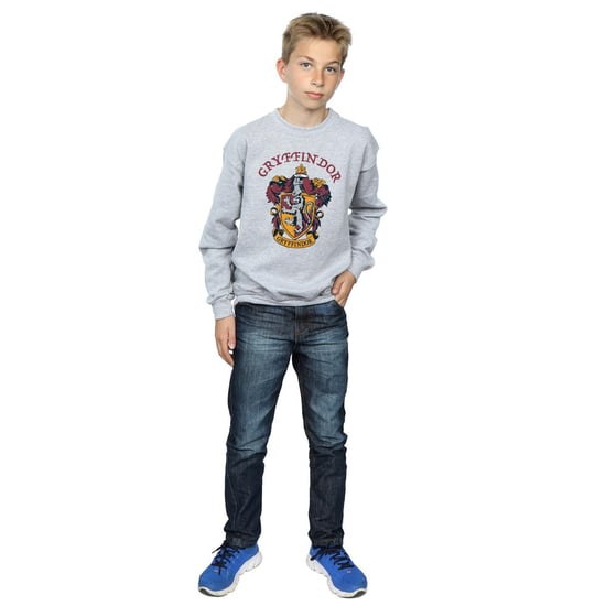 Harry Potter Jongens Gryffindor Katoenen Sweatshirt (Sportgrijs) - Image 5