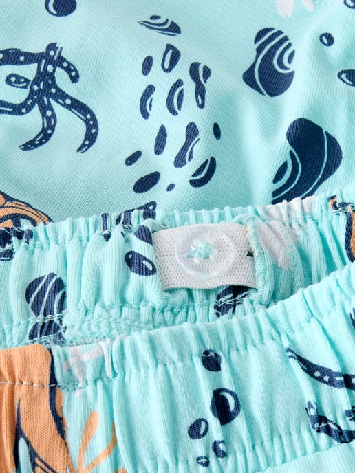 Naam Sommerset - Image 4