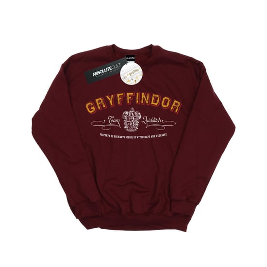Harry Potter Dames/Dames Gryffindor Team Zwerkbal Sweatshirt (Bourgondië) - Image 1