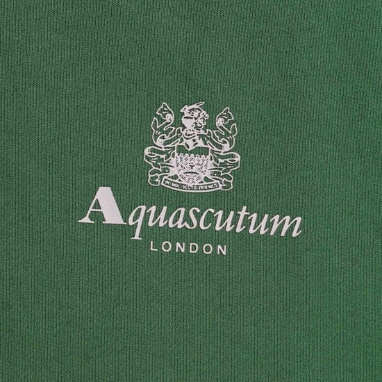 Aquascutum Heren Active Kleine Logo Hoodie (Fles groen) - Image 3