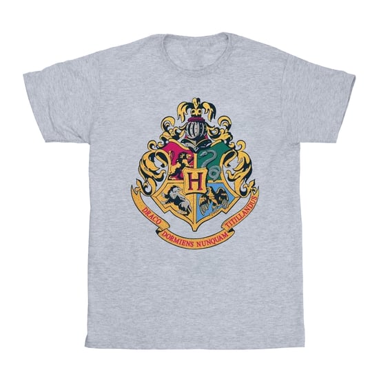 Harry Potter Jongens Hogwarts Crest Goud Inkt T-Shirt (Sportgrijs) - Image 1