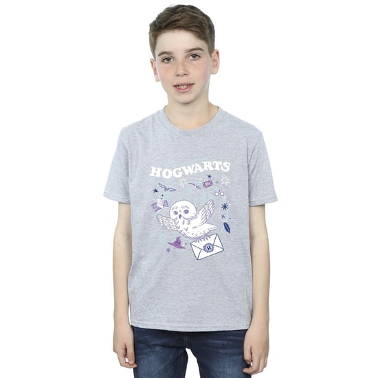 Harry Potter Boys Owl Letter From Hogwarts T-Shirt (Sports Grey) - Image 2