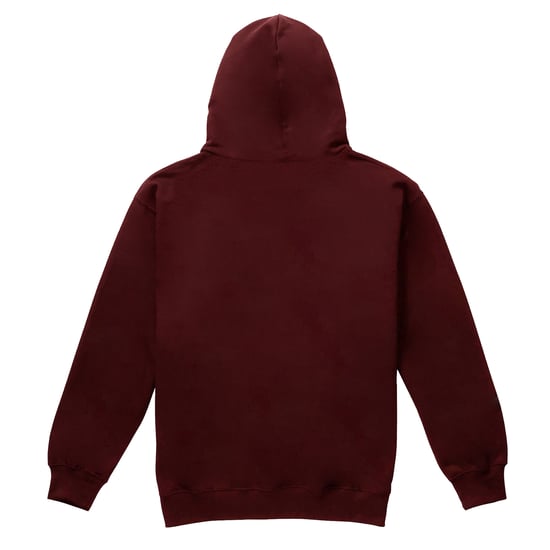 Harry Potter Jongens Gryffindor Crest Hoodie (Bourgondië) - Image 2