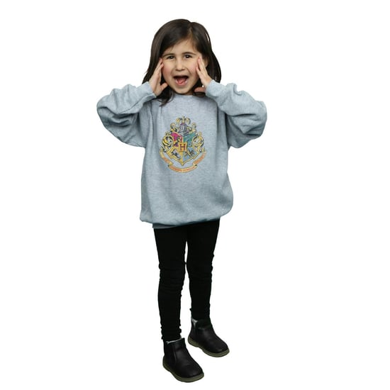 Harry Potter Meisjes Zweinstein Huizen Katoenen Sweatshirt (Sportgrijs) - Image 5