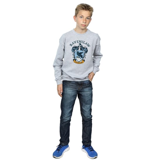 Harry Potter Jongens Ravenclaw Sweatshirt (Sportgrijs) - Image 5