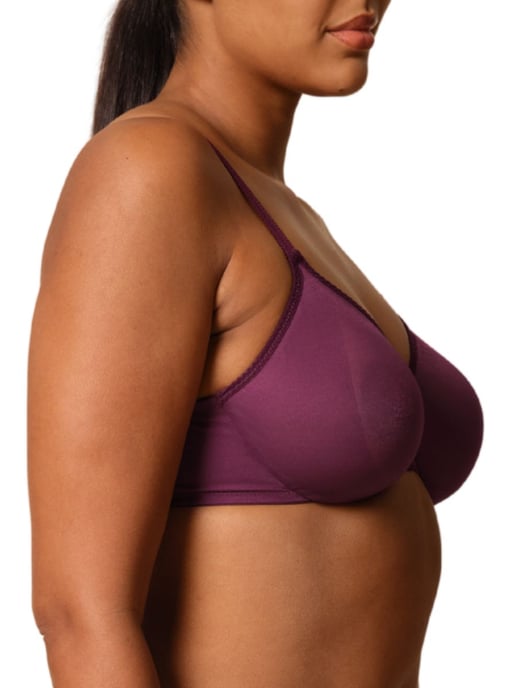 Glossies Sheer Plunge Bra - Image 3