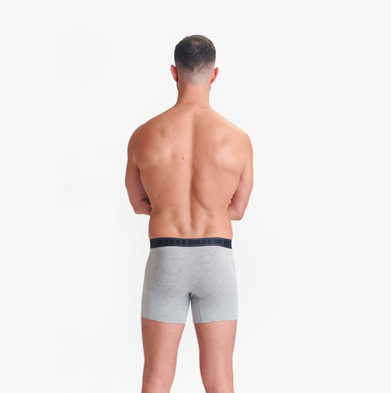 Ted Baker Ted Baker 3-pack Cotton Boxer Briefs Mens Boxer Briefs Navy/rovelli Blue/heather Grey - Image 6