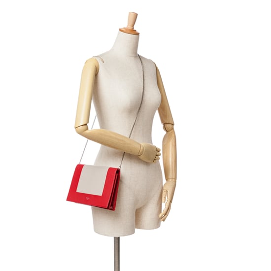 Celine Walletonchain Bag - Image 1
