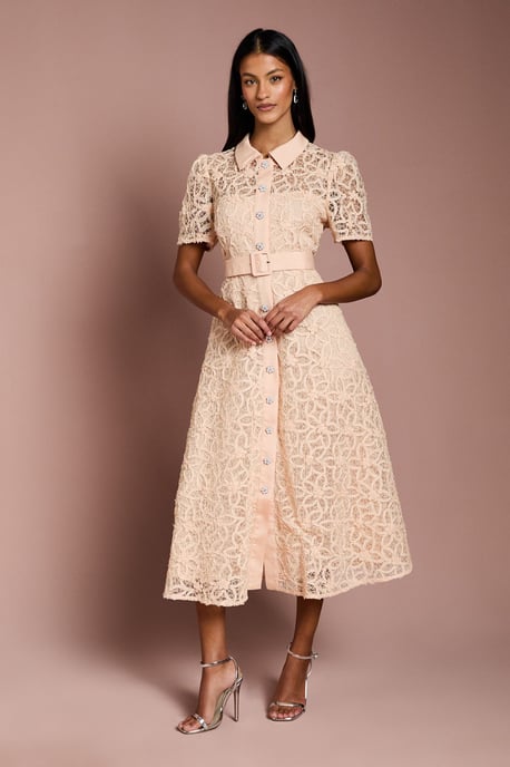 Petite Floral Lace Collared Midi Dress - Image 1