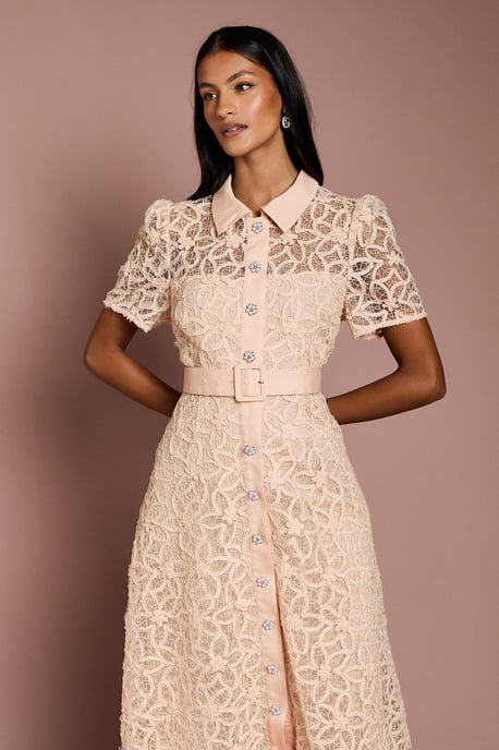 Petite Floral Lace Collared Midi Dress - Image 2